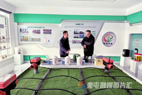 奎屯-獨(dú)山子經(jīng)濟(jì)技術(shù)開發(fā)區(qū) 政企銀聯(lián)動(dòng)強(qiáng)鏈補(bǔ)短，技術(shù)開發(fā)提速園區(qū)高質(zhì)量發(fā)展